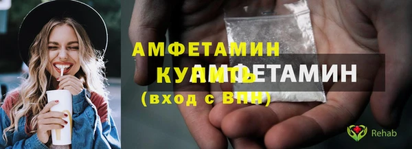 индика Гусь-Хрустальный