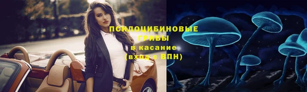 индика Гусь-Хрустальный