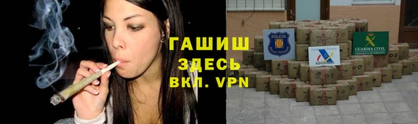 индика Гусь-Хрустальный