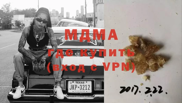 индика Гусь-Хрустальный