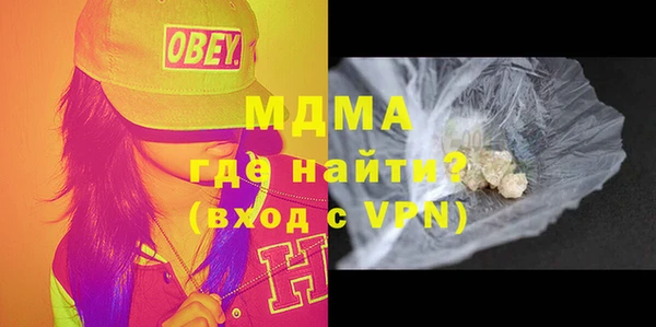 индика Гусь-Хрустальный